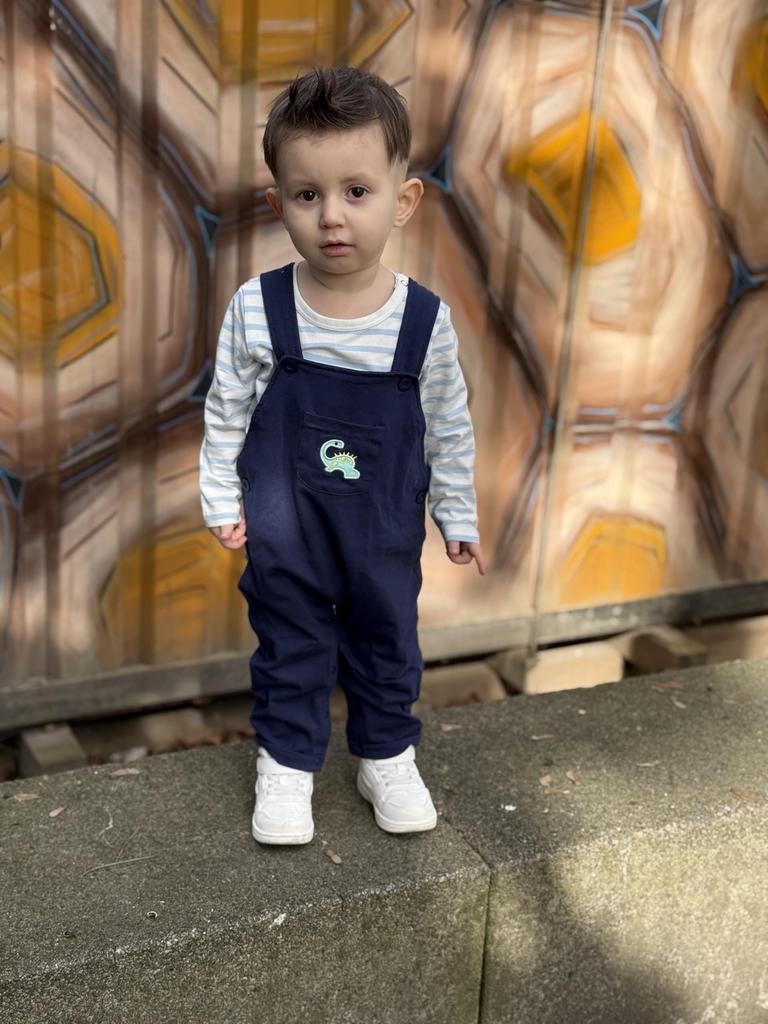 Baby Long 2 Piece Baby Baby Daily Present [Volunboy] Clothes, Boys, Spring, Autumn, Sleeve, Rompers, Overalls, Set, Clothes, Overalls, Cute, Dinosaur,