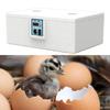 Incubator, Egg Incubator, Intelligent Poultry Brooder, with Turning, Smart Temperature Control, White, for Breeding, Nursery, and Greenhouse Use