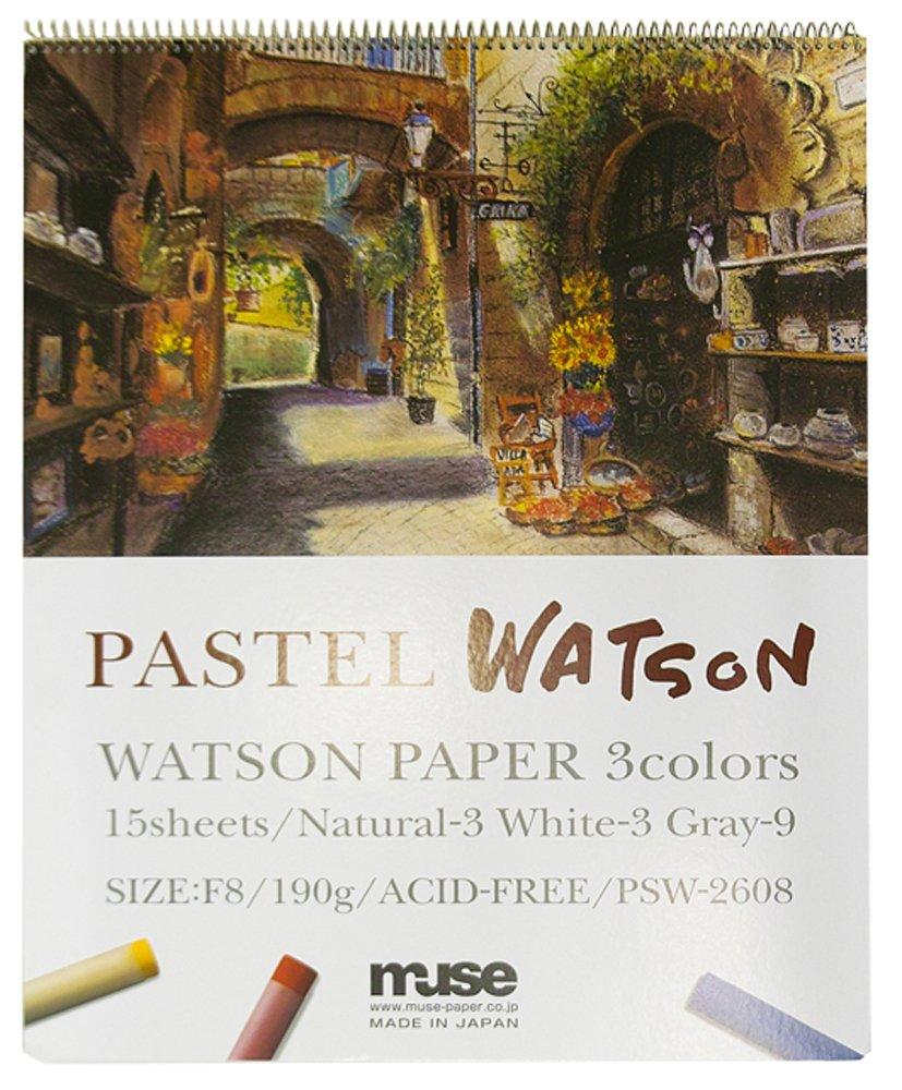 

Muse Пастельная бумага Пастельный блок Watson F8 190г Серый 15 листов F8 Белый, Натуральный, PSW-2608
