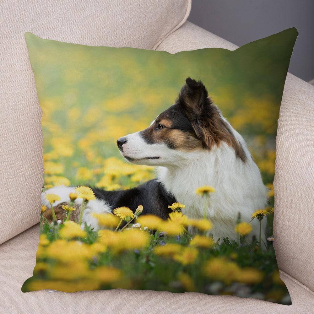 Cute Pet Animal Dog Print Pillowcase Scottish Border Collie Cushion Cover  Sofa Car Decoration