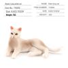 Children's Black and White Kitten Simulation Set - Toy Cat Figurine