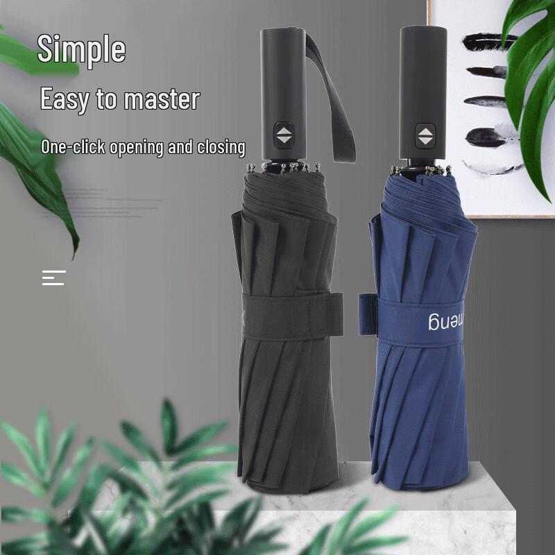 OIMG Fully Automatic 12-Rib Windproof Umbrella