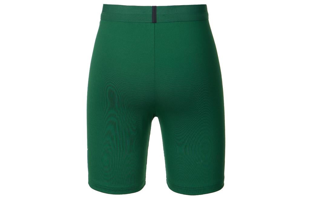 Nike Dri Fit Sports Shorts Women's Canyon Green IB8900-341