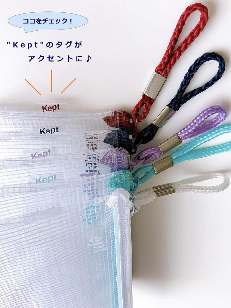 Raymay Fujii Kept Pen KPF603K Case, Clear, Navy,