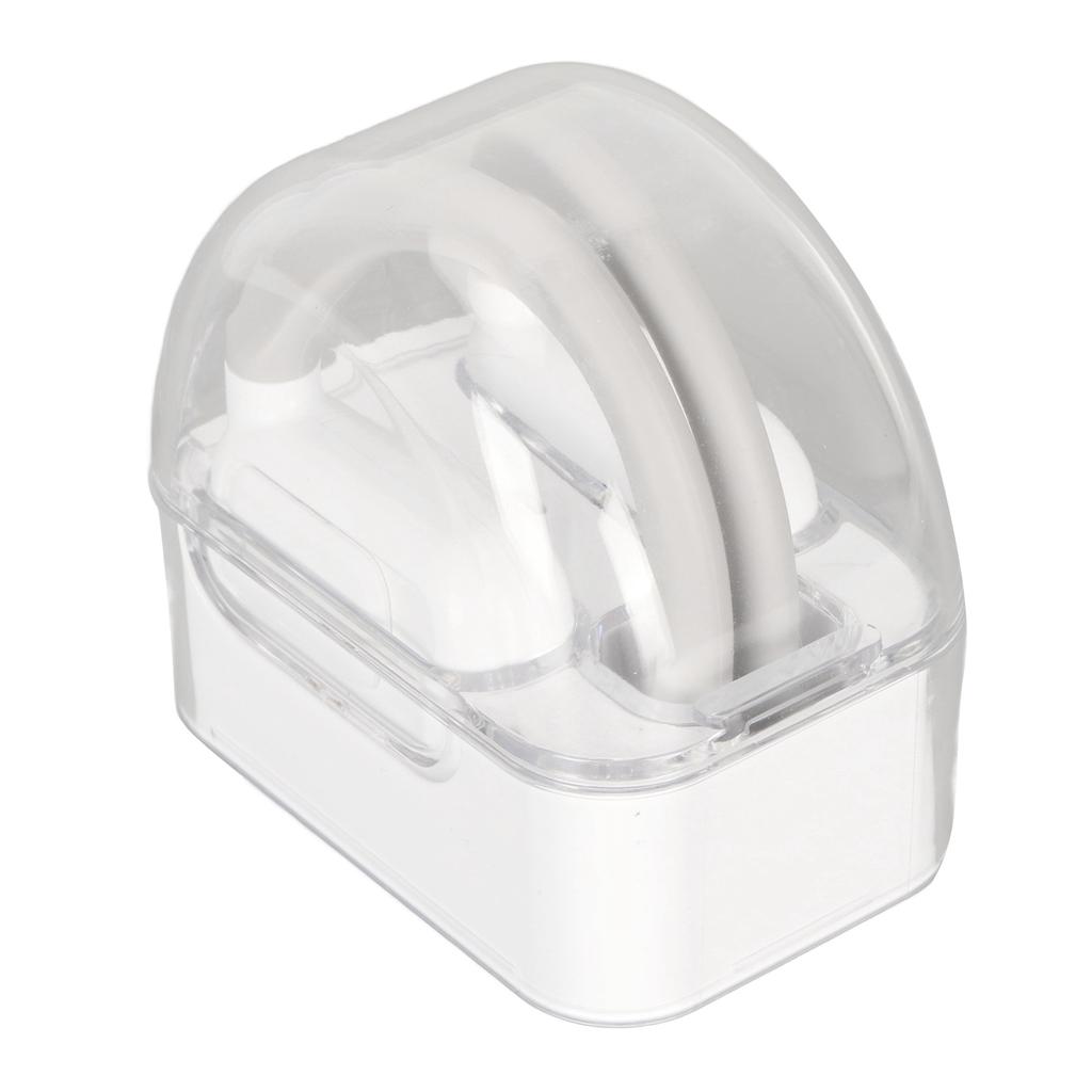 Language Translator Earbuds 74 Languages 70 Accents 0.2s for Music Call Wireless Translator Device with APP for IOS for