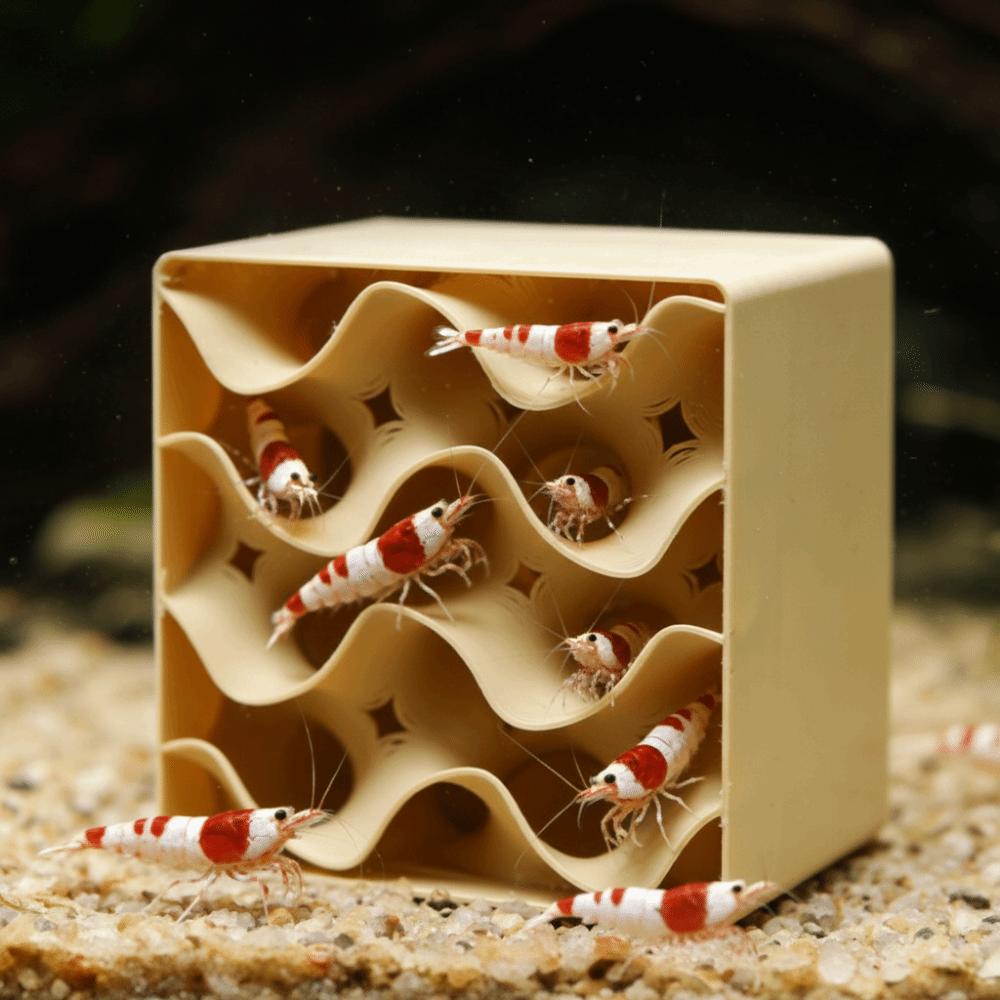 3D Printed Shrimp Hiding Place Hollowed-out Shrimp Breeding Cave Betta Habitat  Shrimp Breeding