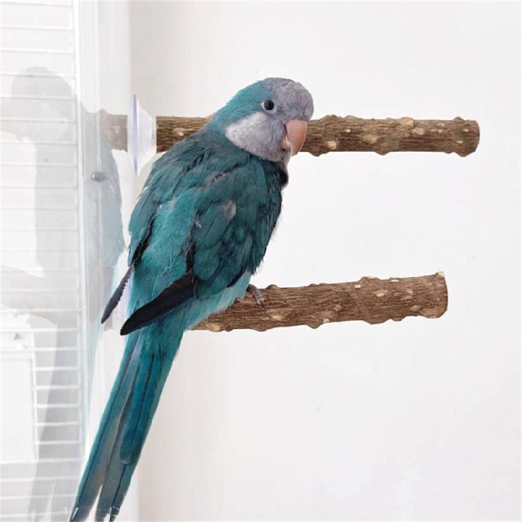 3lots Chewing Exercise Stick Pet Parrots Stand Solid Wood Standing Stick Poles Bird Cage Accessories Pet Toy