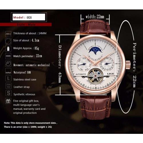 Gosasa Men's Brown Genuine Leather Tourbillon Automatic Watch, Brown, Mechanical, Automatic Watch.