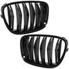 BMW 5 F07 GT 09-17 Grille Between Headlights (Kidneys) Left + Right Set, Black Glossy Double Bar