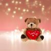 TG64229 INFLATABLE SWIMMING RING HEART RING