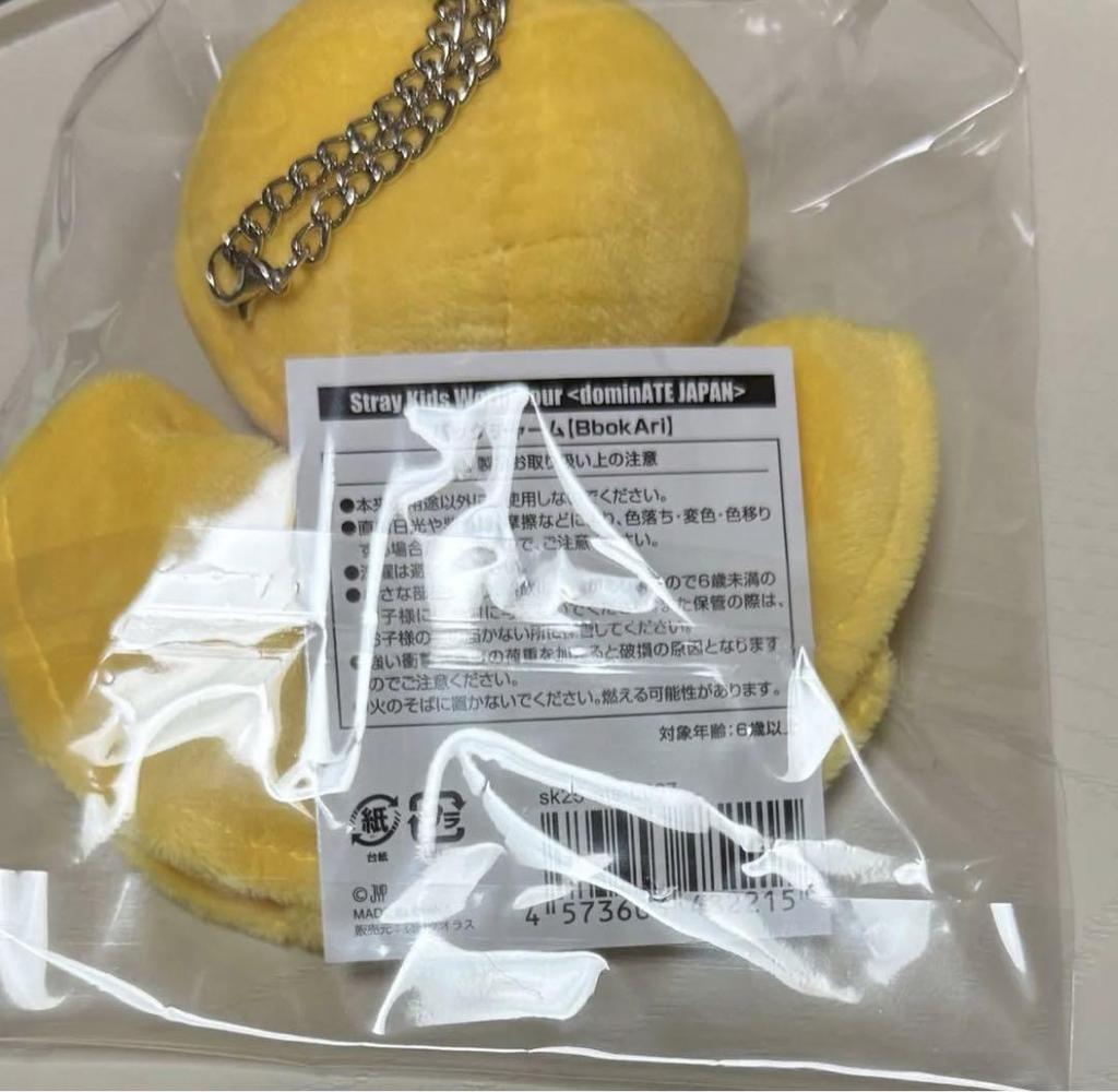 [USED] straykids dominATE Pogarifelix bag charm