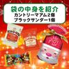 Christmas sweets individually wrapped 8 pieces with ribbon 4 types of packages present sweets large quantity bucket party sweets gift pre-wrapped