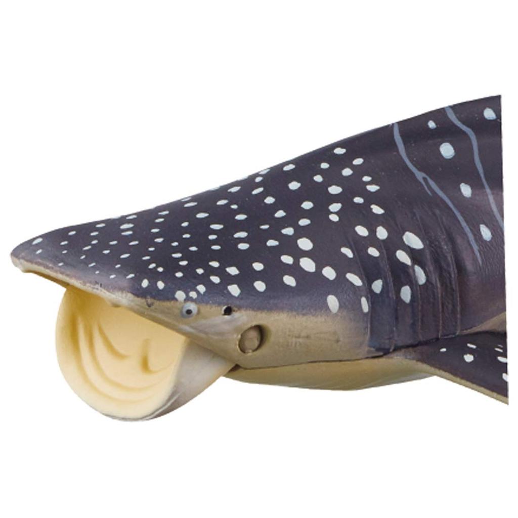 TAKARA TOMY Ania Walhai-Tier-Dinosaurier-Spielzeug, Alter AL-05 (Schwimmende Version.) 3+