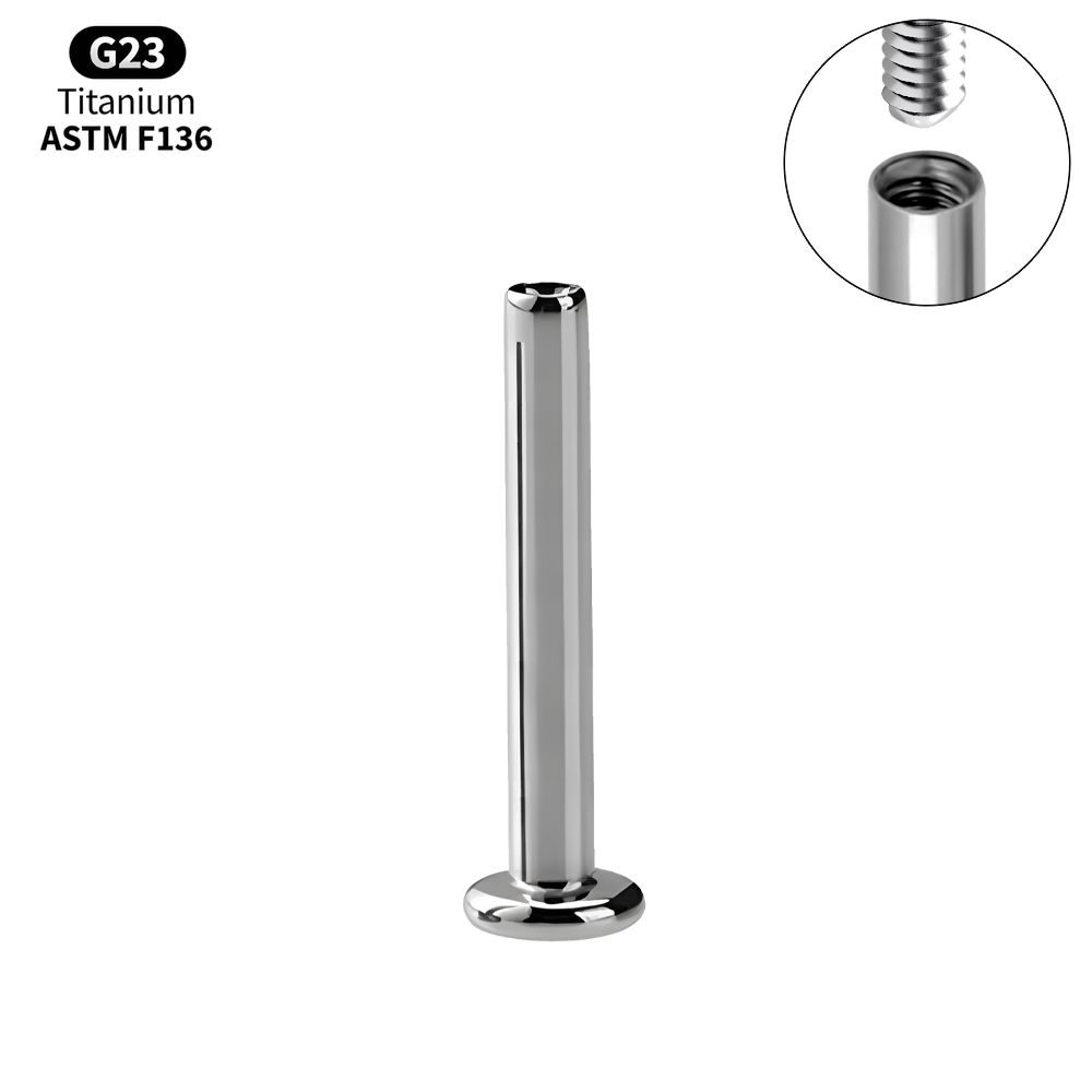 1/10 Pezzi Titanio Labret Stud Filettatura Interna Push Pin Trago Helix Conchiglia Septum Base Piatta Plug-in Gioielli per Piercing all'Orecchio