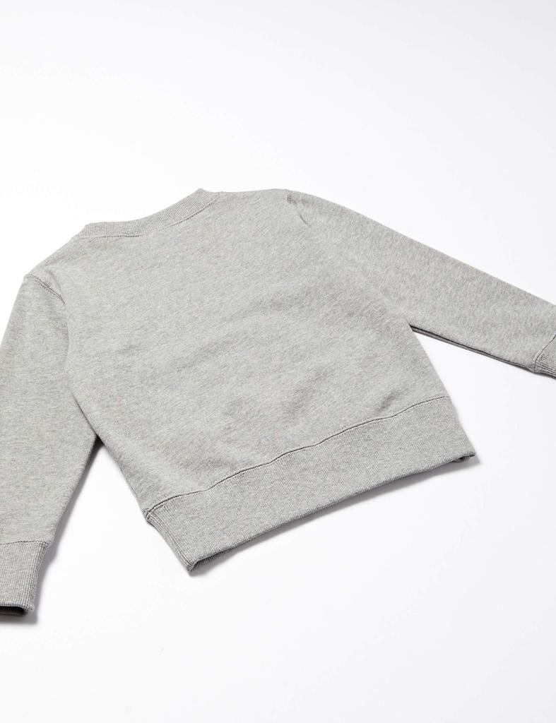 Champion Sweatshirt One Point Logo Sweatshirt Kinder Langarm 100% Baumwolle COTTON USA One Point Logo Stickerei Rundhals Sweatshirt Basic