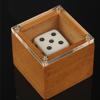 Magische Würfel, magische Requisiten, Würfel, Trick, Punkt, Anzahl, Änderung, Würfel, magische Bühne, Illusions-Requisiten