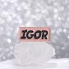 VOTE IGOR Enamel Pins Custom Rock Band Brooches Lapel Badges Creative Music Jewelry Gift for Kids Friends