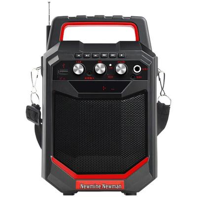 Newmine K66 Portable Bluetooth PA System with Wireless Microphone CN Plug (adapter Included)