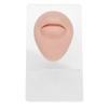 Silicone Body Part Model Soft Silicone Ear Mouth Nose Eye Tongue Navel Model with Display Rack for Teaching Display Practice