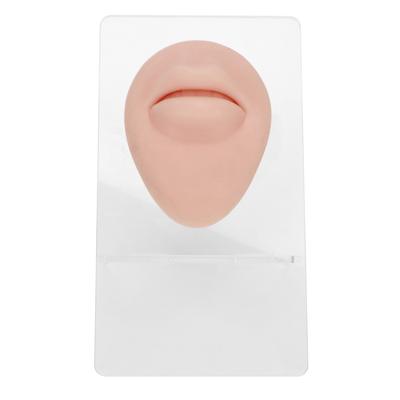 Silikon Körperteil Modell Weiches Silikon Ohr Mund Nase Auge Zunge Nabel Modell mit Ständer für Lehre Anzeige Übung