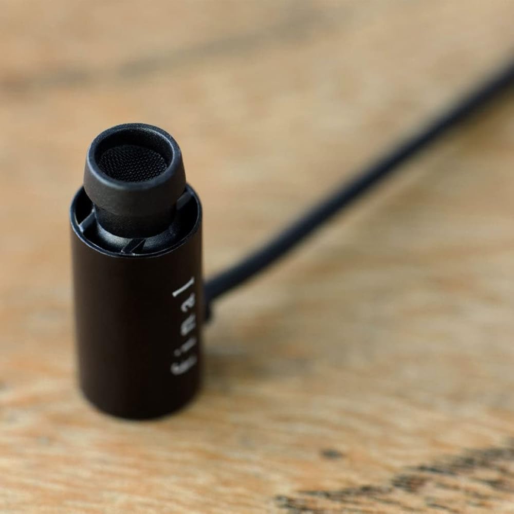 Final E2000 In-Ear Headphones, Matte Black FI-E2DAL