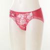 Wacoal Sparkling Embroidered Lace Panty Dpt0467a