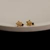 925 Sterling Silver French Simple Hollow Star Stud Earrings Women Light Luxury Temperament Wedding Jewelry Gift