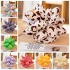 Mini Stuffed Succulents Doll Simulation Succulents Plush Pillow Botany Plush Toy  Birthday Gift