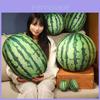 Adorable 3d Watermelon Plush Toy Soft Cushion For Kids Room Decor And Gifts