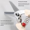 Japan 140DX Floral & Gardening Scissors: Imported Pruning Shears for Flowers, Fruits & Trees