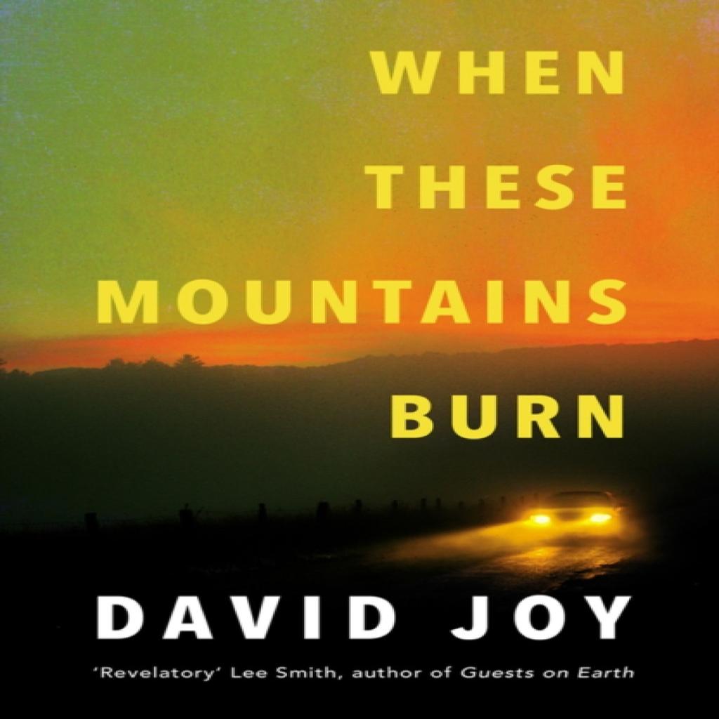 When These Mountains Burn by David Joy Paperback Book 9780233006505