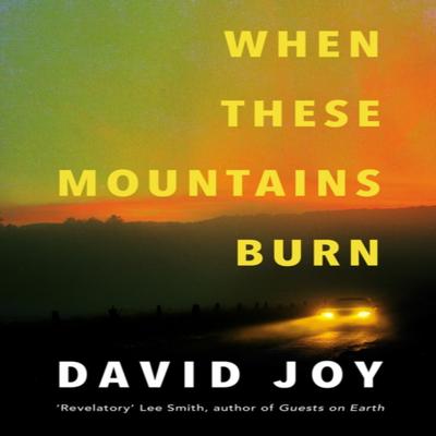 When These Mountains Burn by David Joy Paperback Book 9780233006505