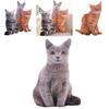 Niedliches 50 cm großes 3D-Katzenkissen aus Plüsch für gemütliche Heimdekoration