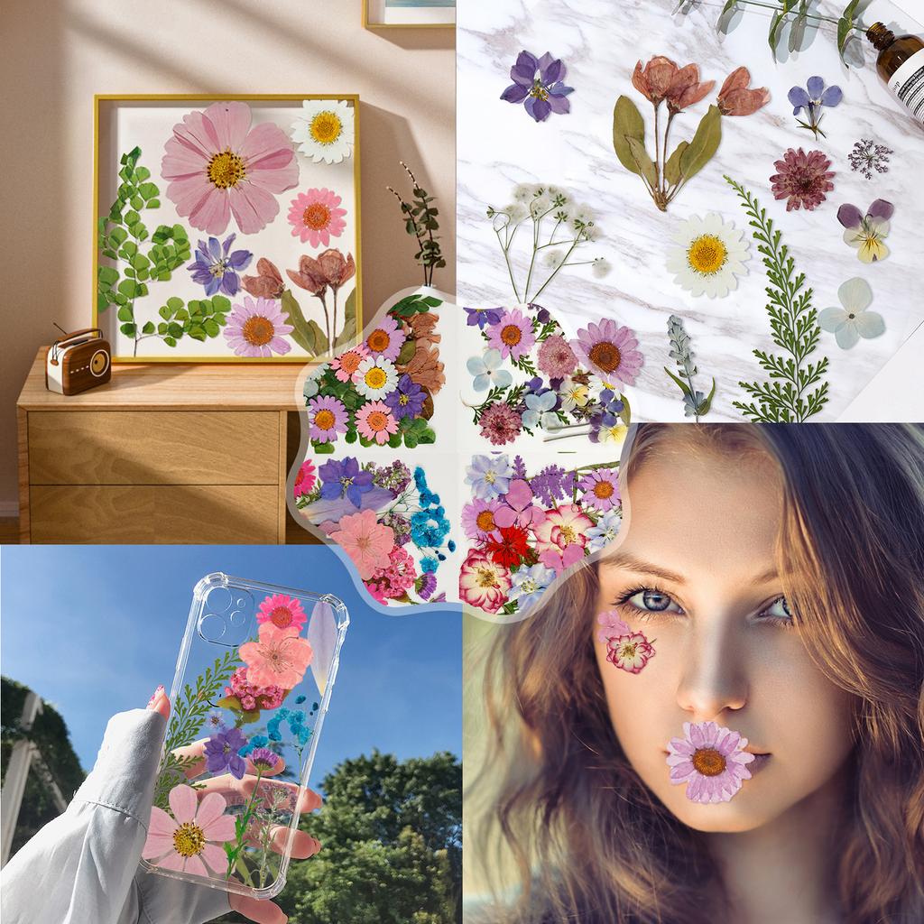 4Sheets Dried Flower DIY Bulk Scrapbooking Pressed Flower Resin Art Crafts Natural Dry Pressed Flowers Decor for Ornament Making