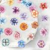 50 Transparent Cartoon Floral Sticker Package Waterproof Transparent PET Hand Account Decorative Guitar Notebook