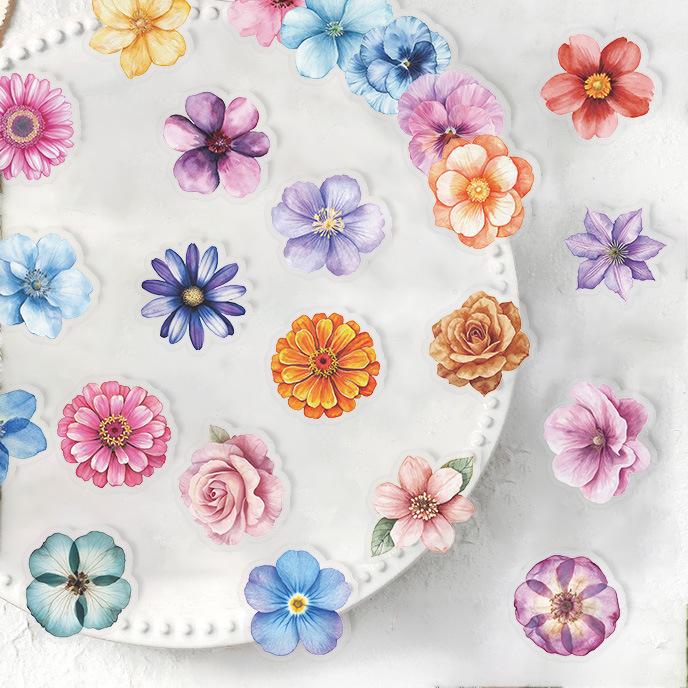 50 Transparent Cartoon Floral Sticker Package Waterproof Transparent PET Hand Account Decorative Guitar Notebook