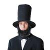 Presidents Day Outfits Top Hat Beard Necktie Set Abrahams Lincolns Costume Accessories for Halloween Dress Up Cosplay