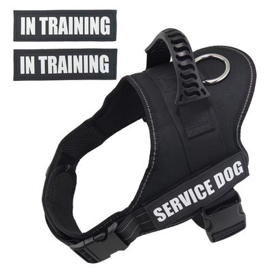Mudinpet Dog with for Nighttime Harness, Mesh, Handle, Adjustable, Walks, Training, Use, Anti-Pulling, Anti-Escape