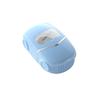Compact Roller Stamp: Light-Sensitive, Anti-Counterfeit, Identity Protection Tool for Secure Cross-Border Use