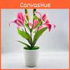 Lilium Brownii Var Viridulum Baker Potted Plant For Living Decor Room