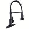 Kitchen Faucet with Pull-down Nozzle, Stainless Steel Single Handle Pull-out Spring Sink Faucet