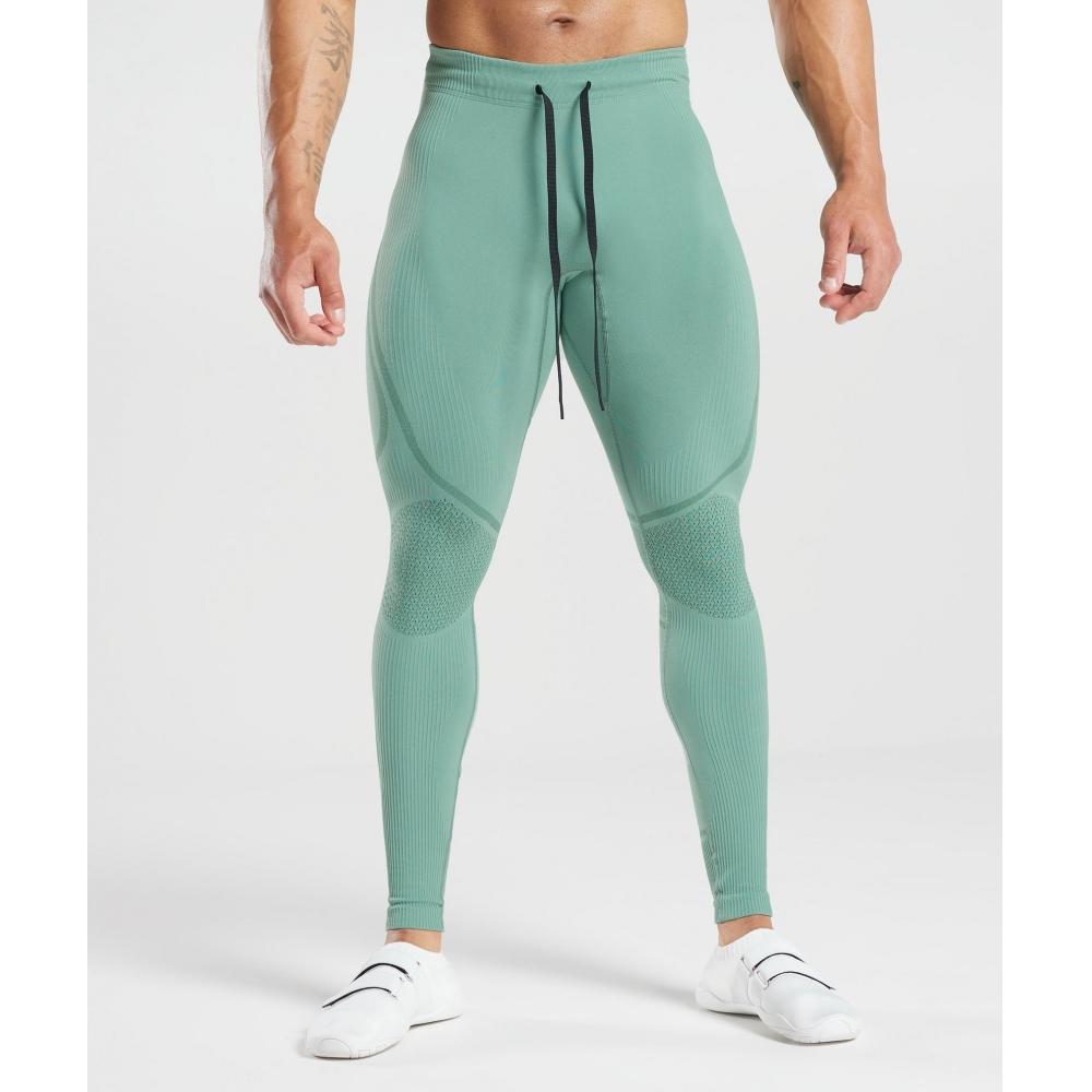 

Gymshark 315 бесшовные колготки чернильно-бирюзовый цвет Jewel Green A1a8x Tbhs