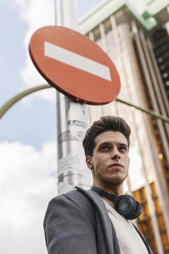 JBL TUNE 500 - ???????????? - ????