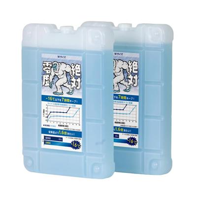 GGN Ice Powerful Minus Temperature Ideal for Disaster Preparedness and Emergency Made In Set of Blue Packs, -16°C (-4°F) Mini, Range, Long-Lasting,