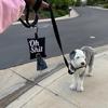 Dog Poop Bag Dispenser Portable Canvas Pet Waste Bags Easy Carry 1Roll For Walking Cleaning Outdoor Use