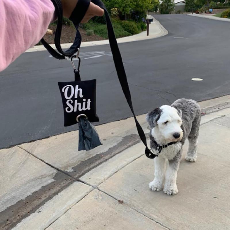 Dog Poop Bag Dispenser Portable Canvas Pet Waste Bags Easy Carry 1Roll For Walking Cleaning Outdoor Use