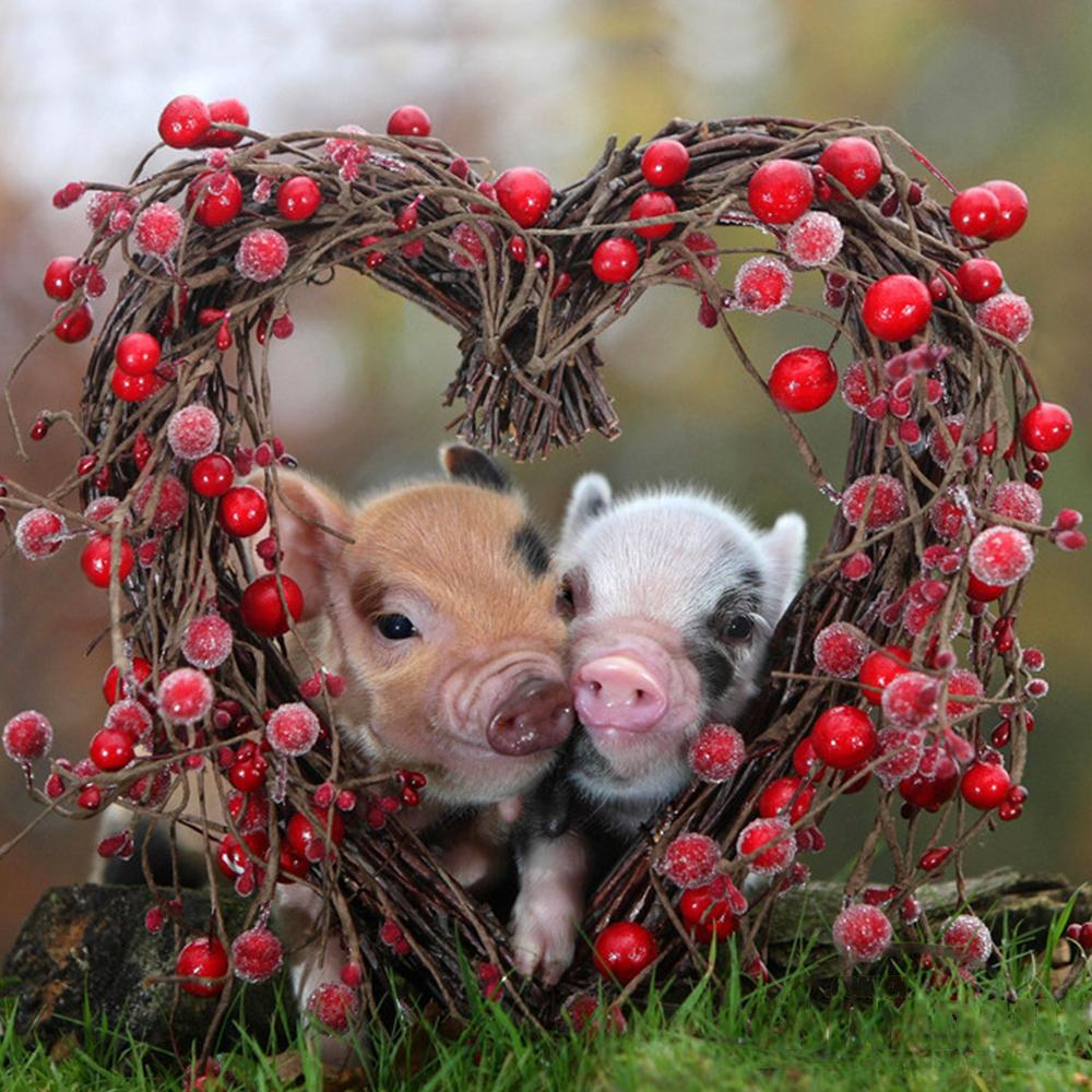 5D Diamond Painting Wolf Full Square Round Needlework Art Diamond Embroidery Dog Cat Animal Mosaic Handmade Gift