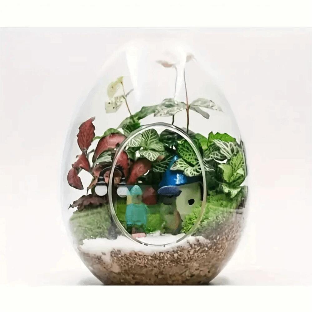 Transparent Succulent Glass Vase Beautiful Micro Landscape Moss Bottle Balcony