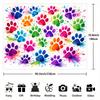 2D Watercolor Rainbow Paw Prints with Paint Splashes Backdrop