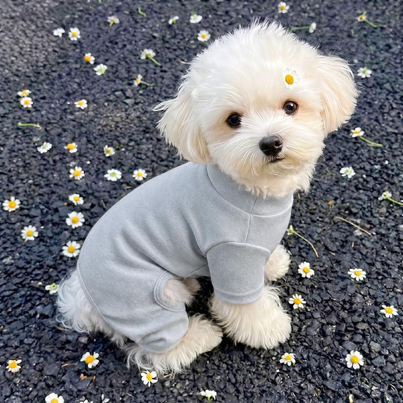 Dog German velvet warm four-legged clothes autumn and winter than bear teddy small dog cat pet bottoming shirt loungewear